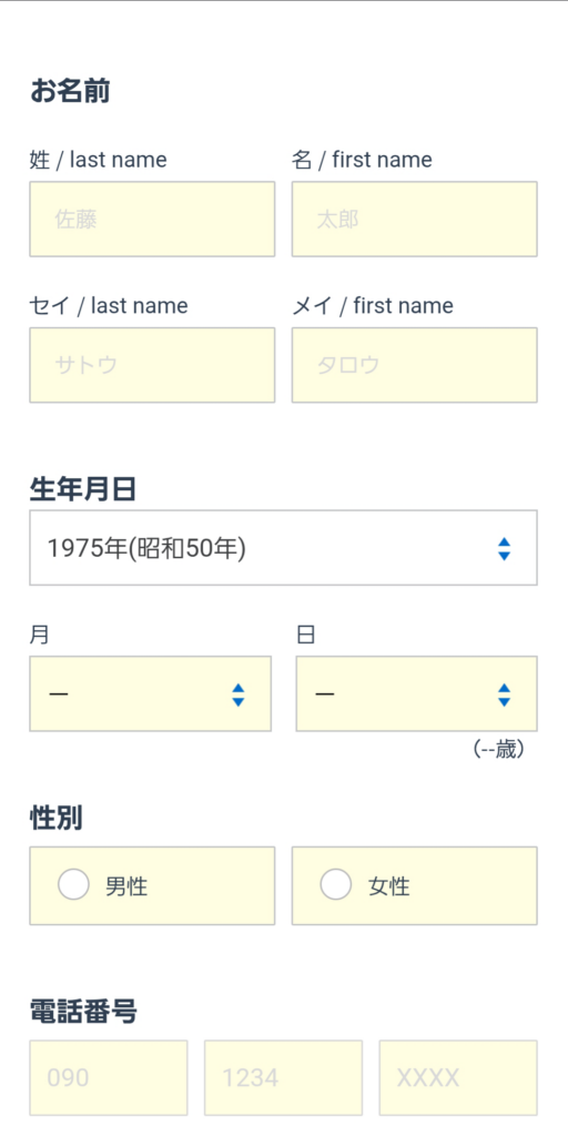 情報入力画面（例）